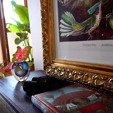 Confort - Le Boudoir Privatunterkunft Hendaye